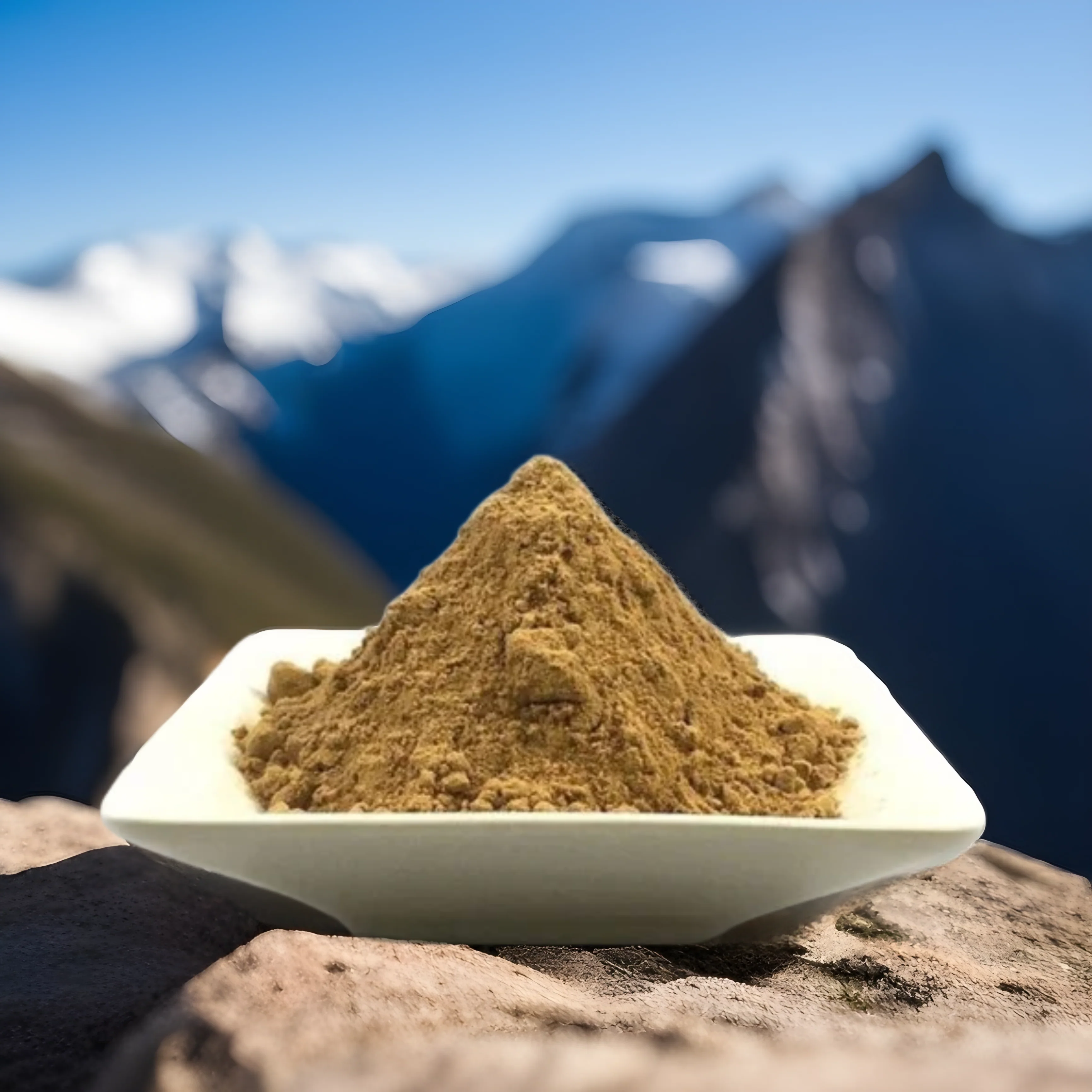 Bowl of VibeMedX shilajit powder in front of snowy peaks