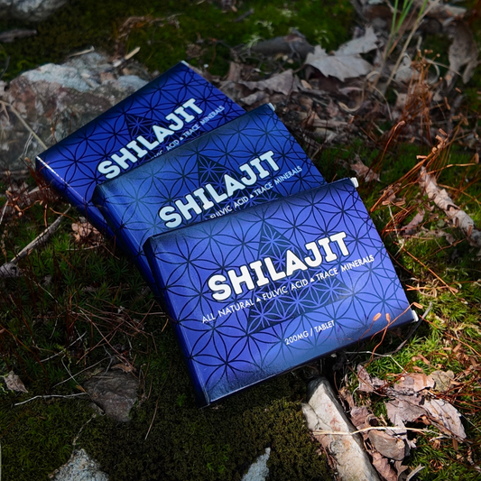 Shilajit Tablets